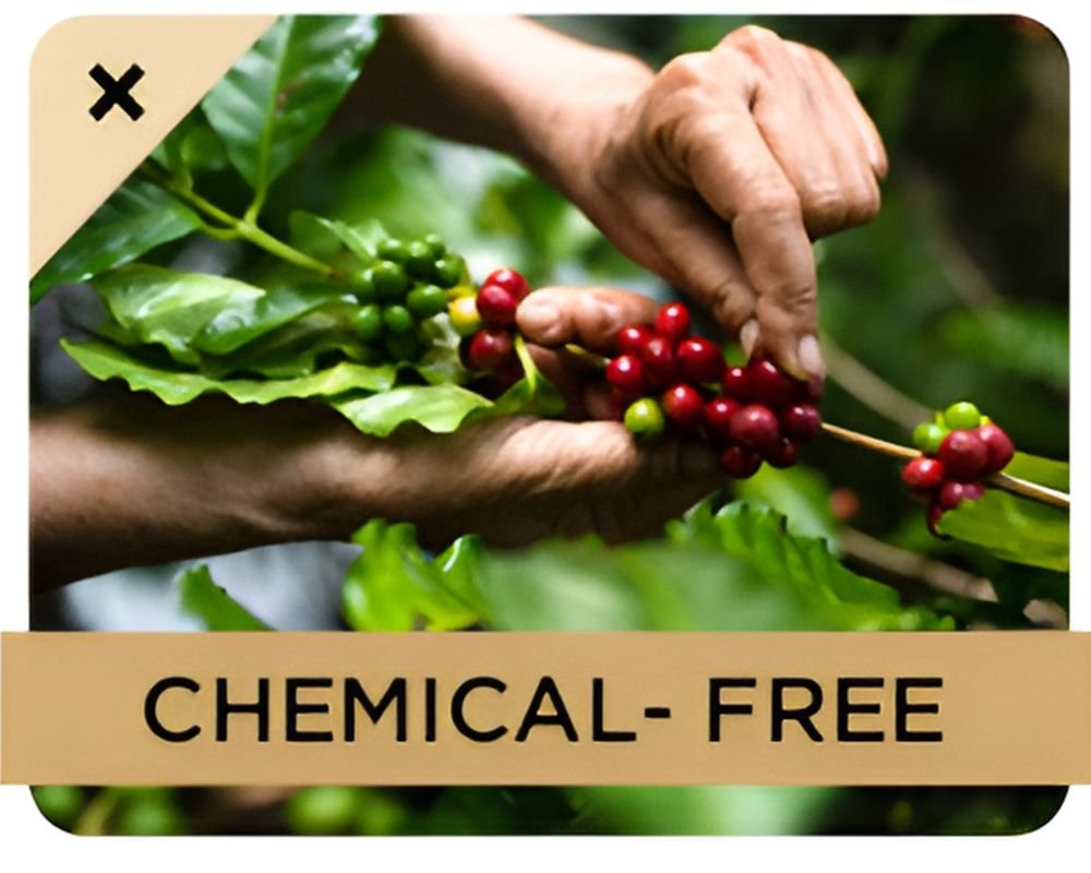 Vitacup Decaf Coffee Chemical free